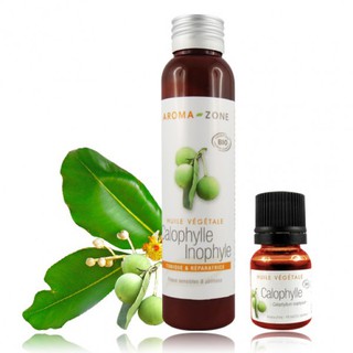 DẦU MÙ U AROMAZONE - HUILE VÉGÉTALE CALOPHYLLE INOPHYLE BIO