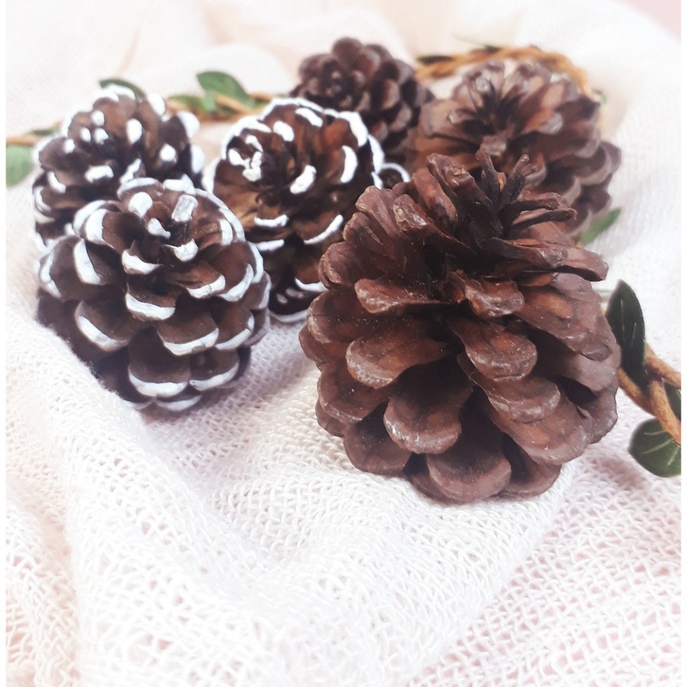 Set Trái Thông Tự Nhiên Nâu Vàng, Màu Nhũ, Lá Khô Vàng, Cành cây decor, Vòng treo trang trí