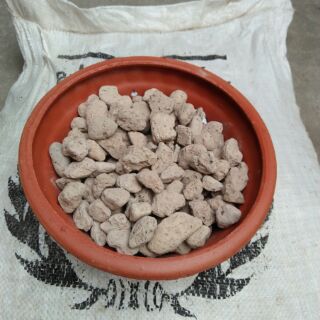 1kg đá núi lửa ( đá bọt) Indonesia Trồng Hoa Lan