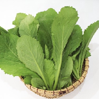 Hạt giống cải xanh mỡ Thuận Điền