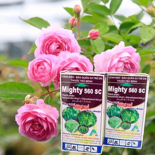 Thuốc trị bệnh cây trồng mighty 560sc, chai 100ml - vtnn bắc từ liêm