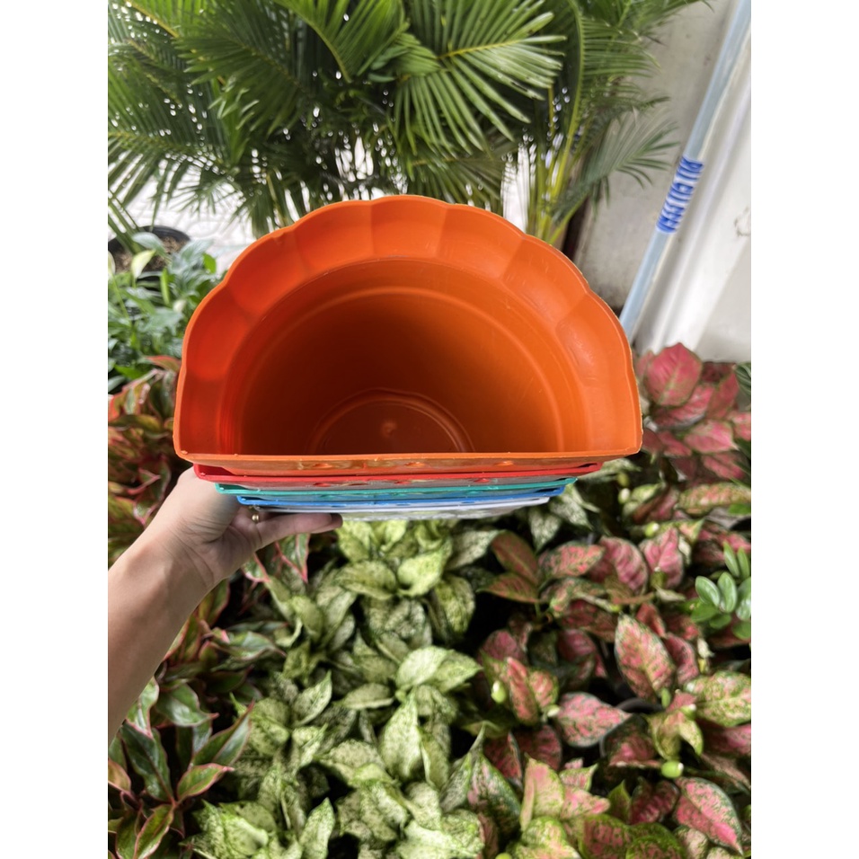 Chậu ốp tường nhựa dày, chịu lực, chịu nhiệt, màu sắc chuẩn y hình, chậu ốp 20cm