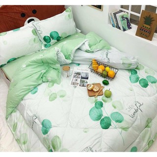 drap giường (Hình Thật) Chần Bông Lá Xanh Cotton M2*2M-M4*2M- M6*2M-M8*2M