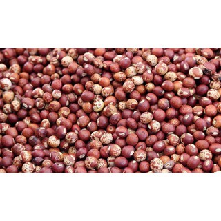 500gr Hạt Đậu Săng ORGANIC ĐĂKLĂK (đậu chè, mộc đậu)