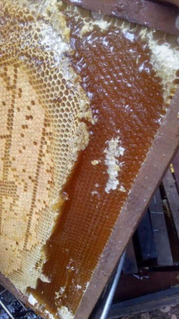 Mật ong(ăn hoa tự nhiên) chai 350ml đặc sánh chuẩn tuyệt đối bao test