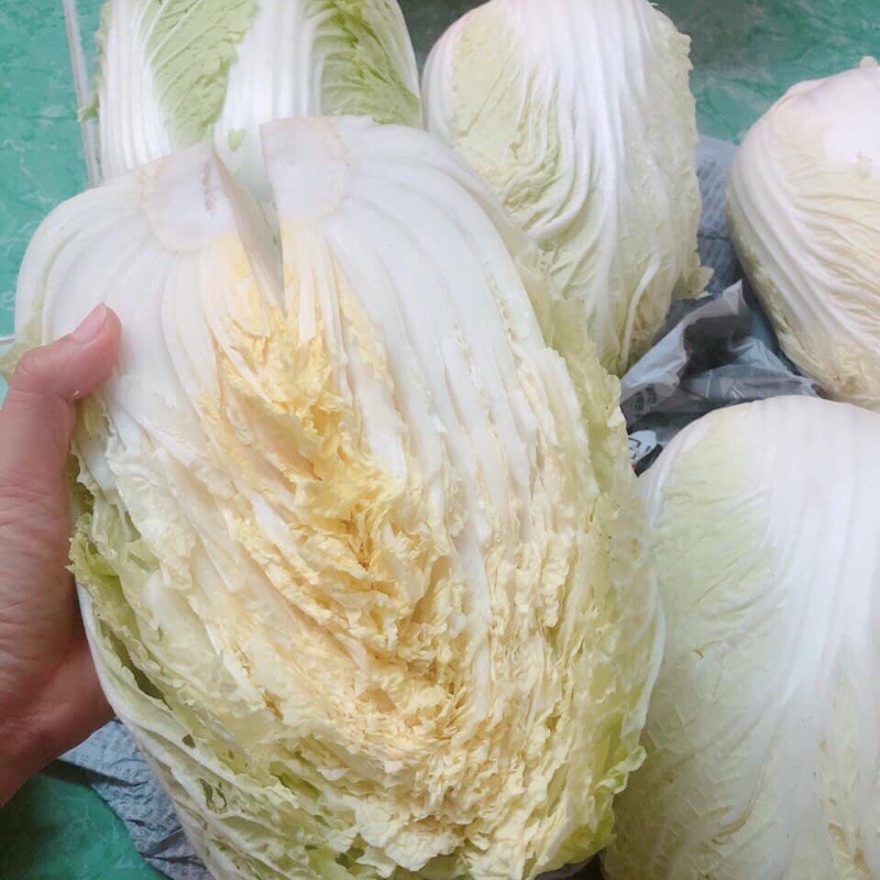 Kim chi cải thảo Hàn Quốc