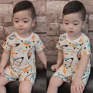 Combo 5 bộ cotton tre