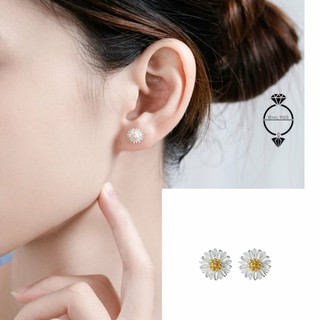 Bông tai hoa cúc bạc 925 hoa tai nữ hàn quốc