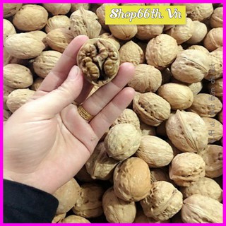 Hạt óc chó sấy khô 500G ❤Siêu rẻ❤ Quả óc chó rừng Sapa