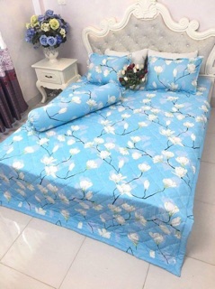 Bộ chăn ga gối poly ( đủ size )