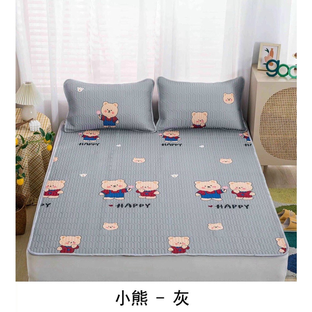 Chiếu điều hòa cao su non 3d Latex thông minh ga trải giường đủ size tặng 2 vỏ gối cùng màu có túi zip bọc nệm đệm đẹp