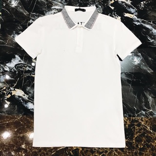 Polo DSQ