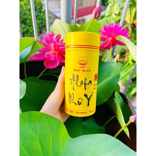 (Mua 5 Tặng 1 nước Tài lộc) Nụ Xông Alofa Như Ý 50 nụ