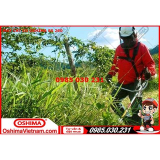 Máy cắt cỏ Oshima SS 260 cần xoay