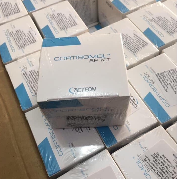 cortisomol-chất hàn ống tủy