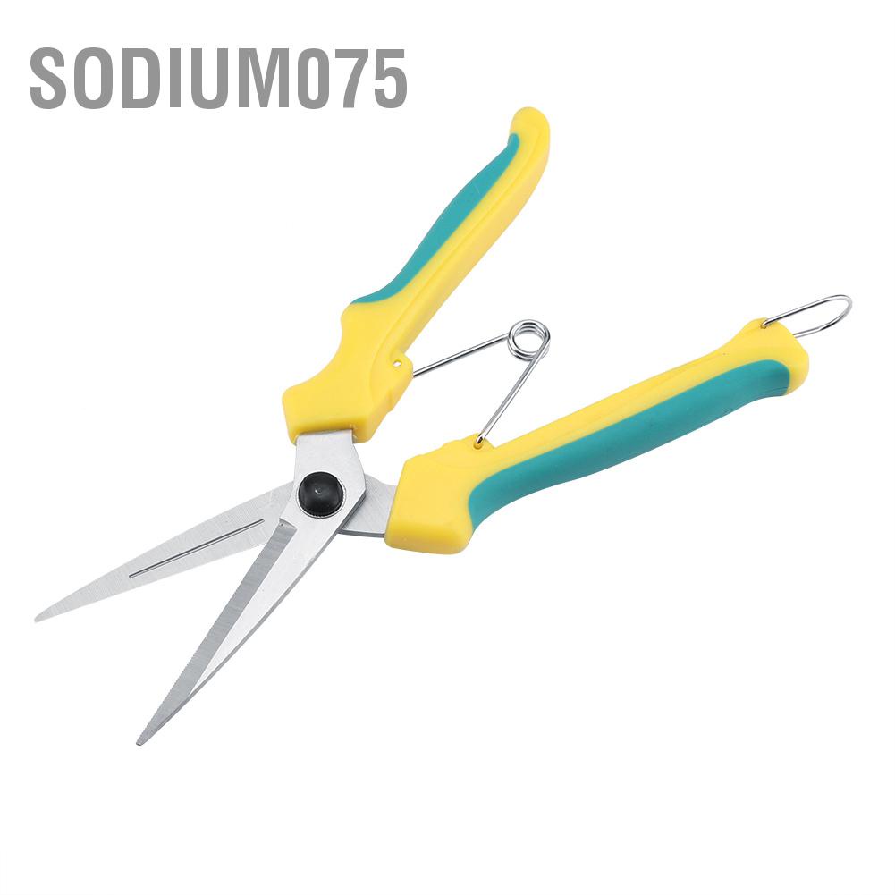 Sodium075 Đã nâng cấp Cây ăn quả cứng cáp cảnh Làm vườn Cắt tỉa Kéo dài làm