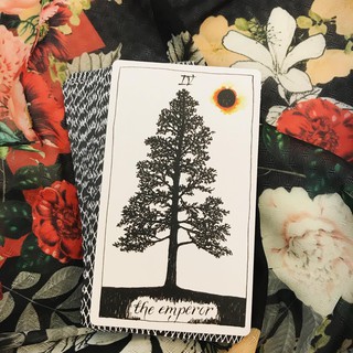 Bộ Bài Wild Unknown Tarot (Guu Tarot Shop)