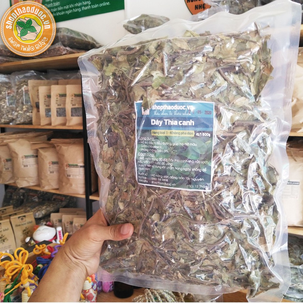 Dây Thìa Canh sạch Gói 500G - Dây Thìa Canh Shop Thảo Dược - Hỗ Trợ Ngăn Ngừa Bệnh Béo Phì, Ổn Định Đường Huyết