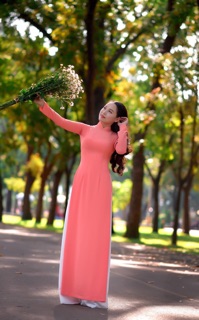 Vải áo dài màu