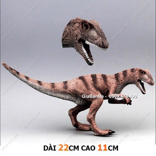 Mô Hình Khủng Long Ăn Thịt Nâu Vằn Allosaurus - 7750.4