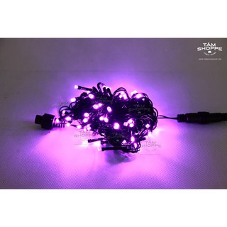 Dây đèn Led màu tím trơn 10m 96 bóng DLTT