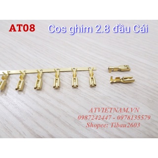 Cos Cái Ghim 2.8 - AT08 ( 1 bịch/50 cái)