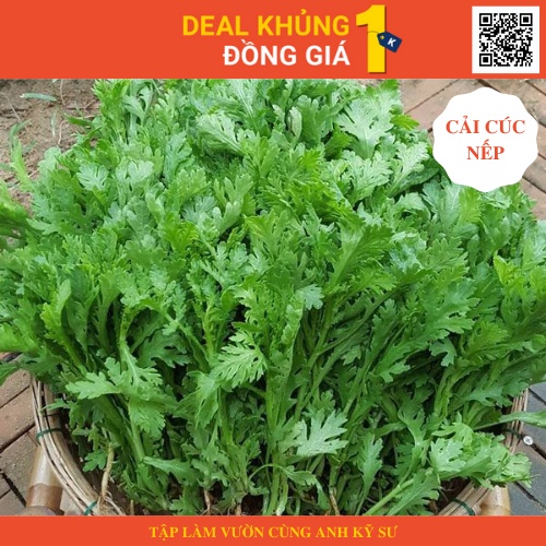 - Gói 2000 hạt giống rau cải cúc nếp - Làm vườn cực dễ cùng anh kỹ sư