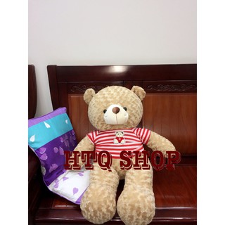 Gấu bông Teddy khổ vải 1m2 cao cấp giá rẻ bất ngờ