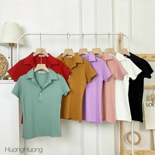 Áo pull cổ bẻ nhiều màu sắc dáng ôm