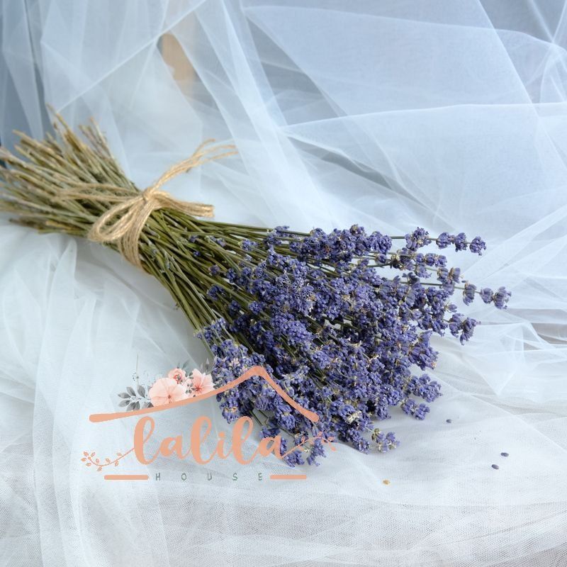 Hoa khô Oải hương_Lavender ❤️FREESHIP❤️ Decor phòng_Hoa khô trang trí Pháp