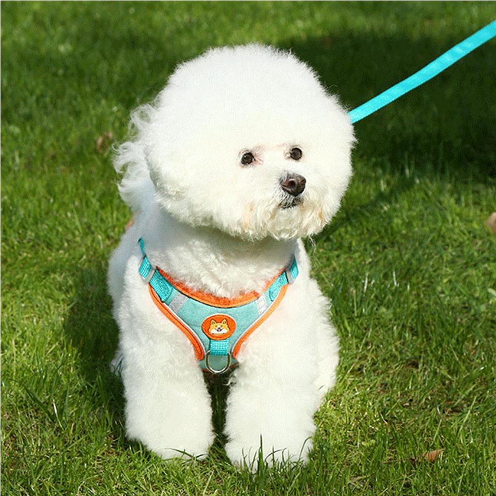 Elsabell. Dây dắt thú cưng đi dạo có yếm và sợi phản quang thoáng khí, đủ mọi kích thước, tay cầm vừa vặn