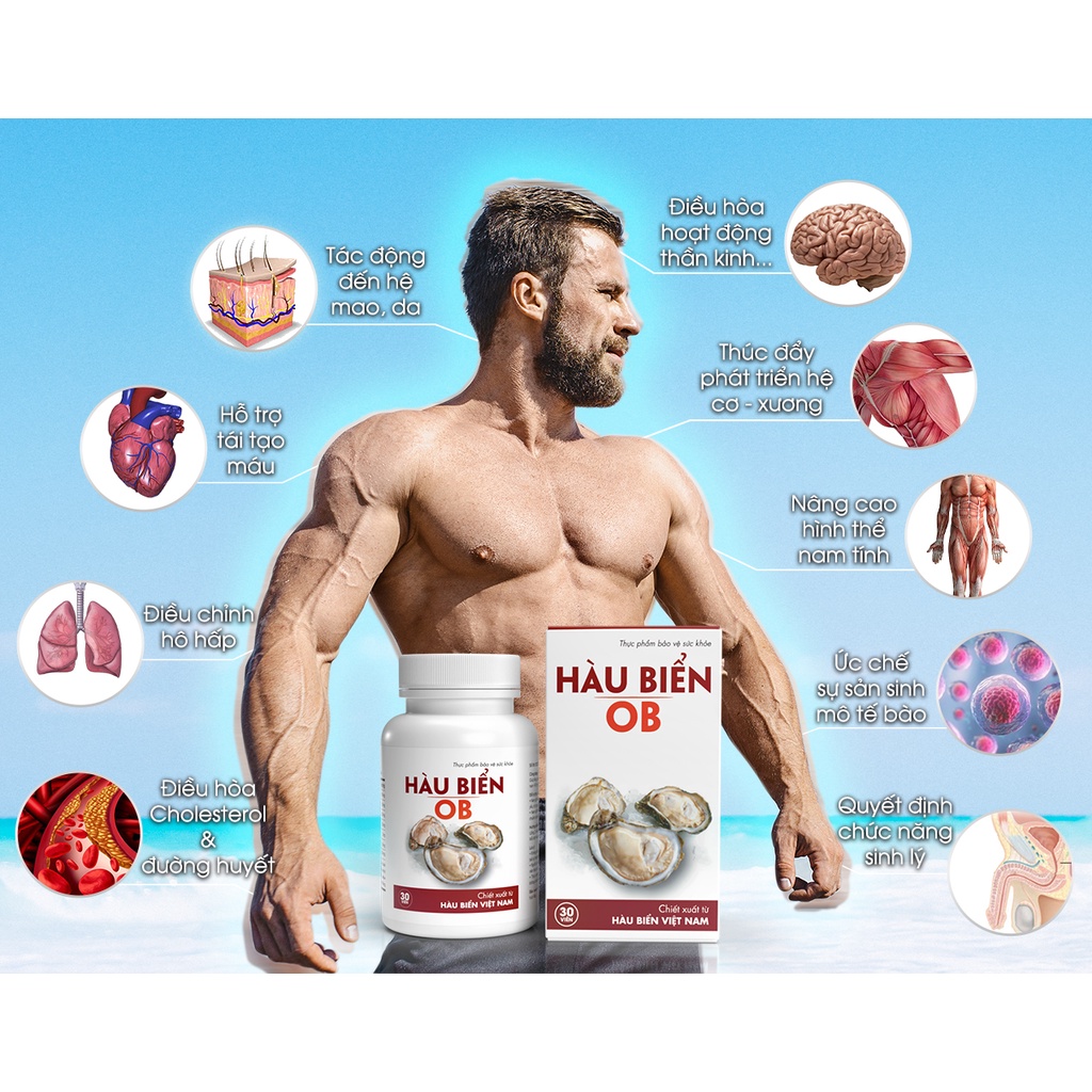 Chống xuất tinh sớm, tăng cường sinh lý nam Hàu biển ob, Oyster plus, Hộp 30v
