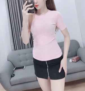 Combo 5 áo thun gân body