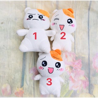 HC)Gấu bông ebichu 30cm