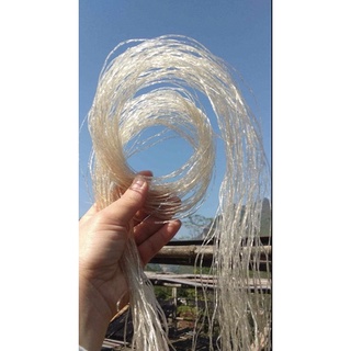 Miến Mỏ Thiếc (Chuẩn loại 1)