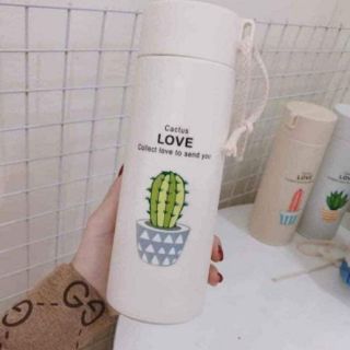 Bình nước xương rồng 450ml