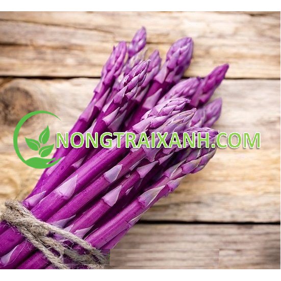 10H - HẠT GIỐNG MĂNG TÂY TÍM