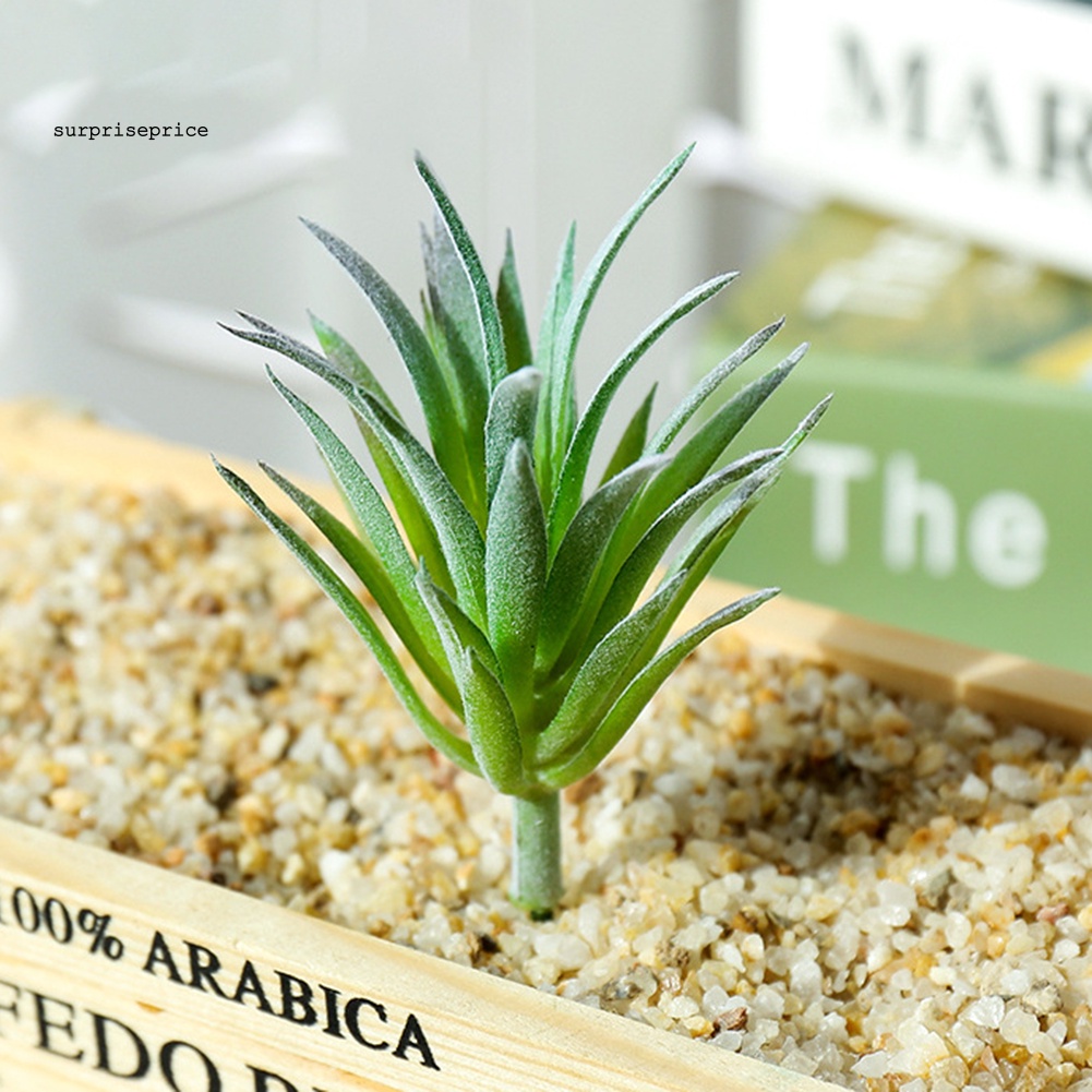 1 Cây Sen Đá Nhân Tạo Sinh Động Dùng Trang Trí Nhà Cửa/Văn Phòng DIY