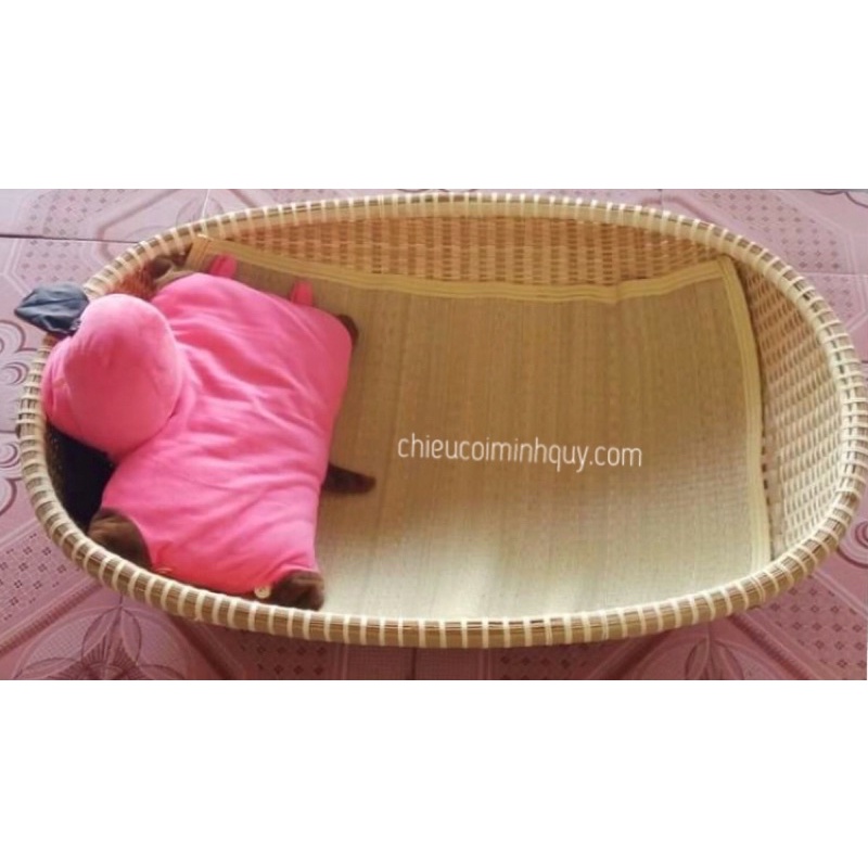 CHIẾU CÓI CHO BÉ 50x65cm CAO CẤP