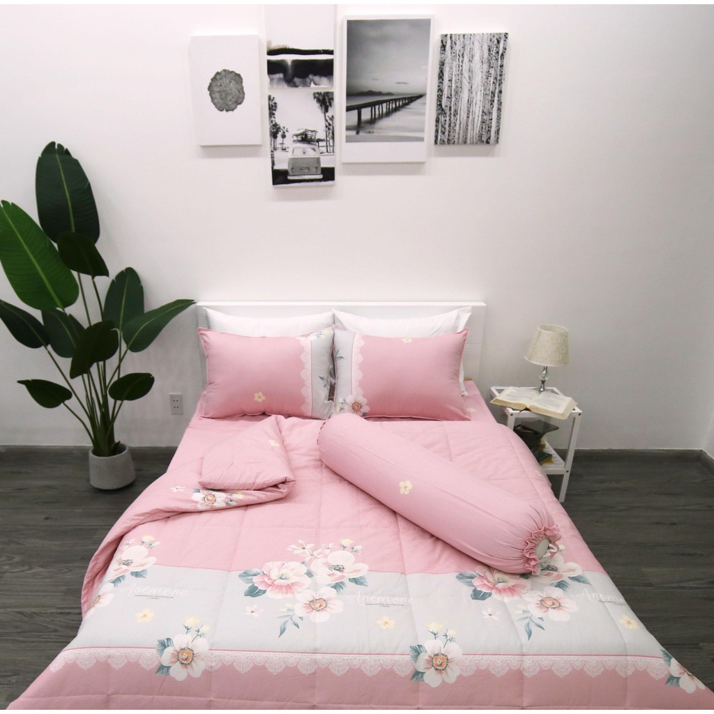 Bộ drap bọc (4 chi tiết) COTTON 100% CAO CẤP
