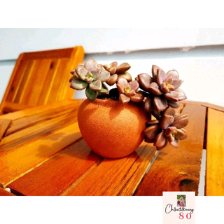 Chậu đất nung - chậu chum mini miệng 5, cao 6.5