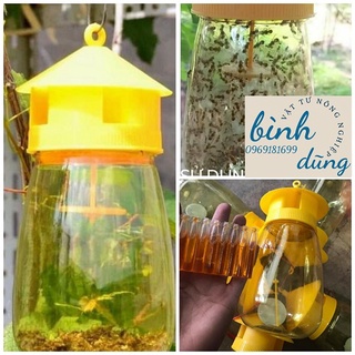 Đèn bẩy ruồi vàng thông minh, bẩy ruồi vàng