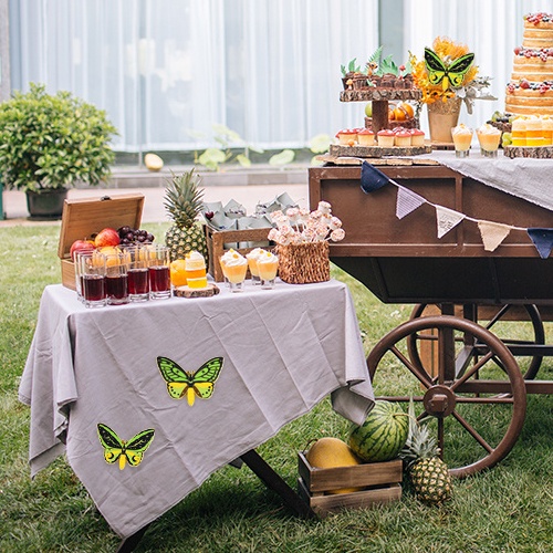 Ghim Cài Áo Hình Bướm Đính Đá Nhân Tạo Thời Trang