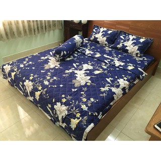 Xả Kho Bộ ga gối poly cotton