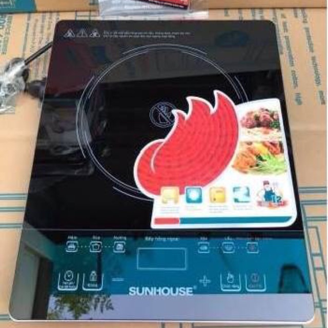 Bếp hồng ngoại 6016