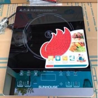 Bếp hồng ngoại 6016