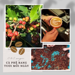 Balance blend - Cà Phê Blend 5:5 Arabica - Robusta 1kg