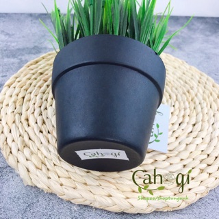 Cây giả- Chậu Cây Lúa Non Để Bàn