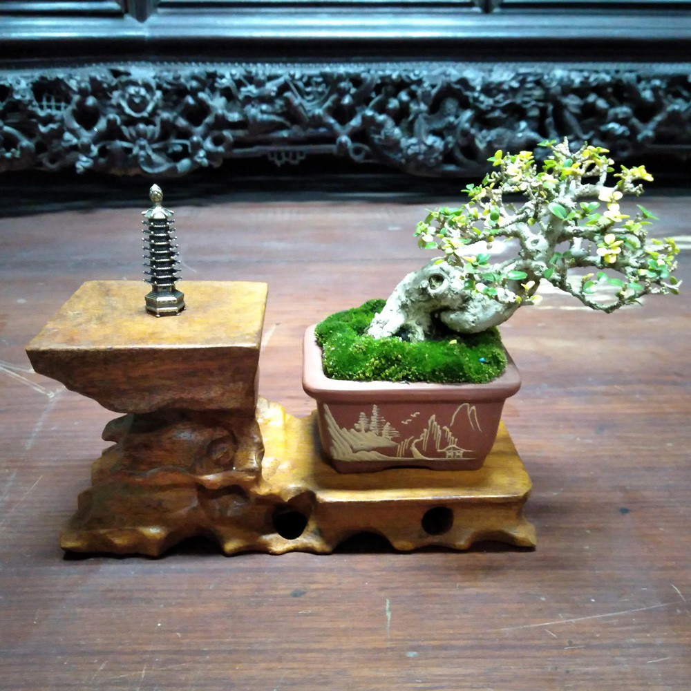Kệ gỗ dâu tằm 2 tầng đặt tượng, đôn kê bonsai mini-lọ hoa-cây cảnh