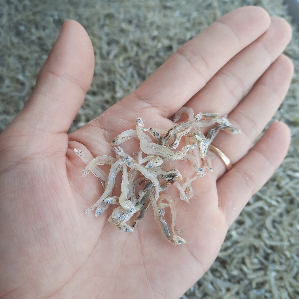 Cá cơm mờm sữa 1kg - Cá cơm khô đóng gói hút chân không